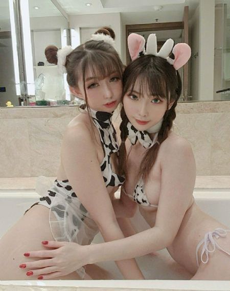 二十九