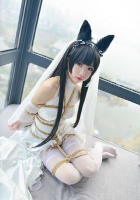 1-36集电视剧免费观看28集