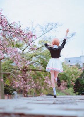 花园宝宝动画片全集免费播放