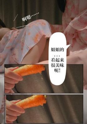 纪晓岚第二部免费完整版